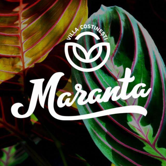 Casa Maranta Hotell Costinesti Exteriör bild